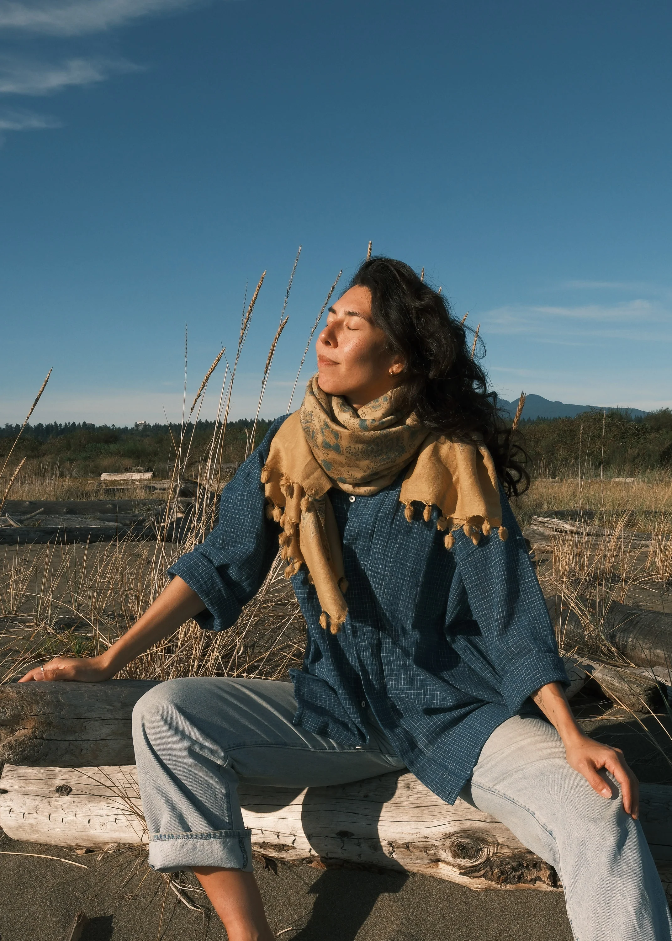 Ajrakh Block Print Shawl - Silk & Wool - Le Soleil - Image 4