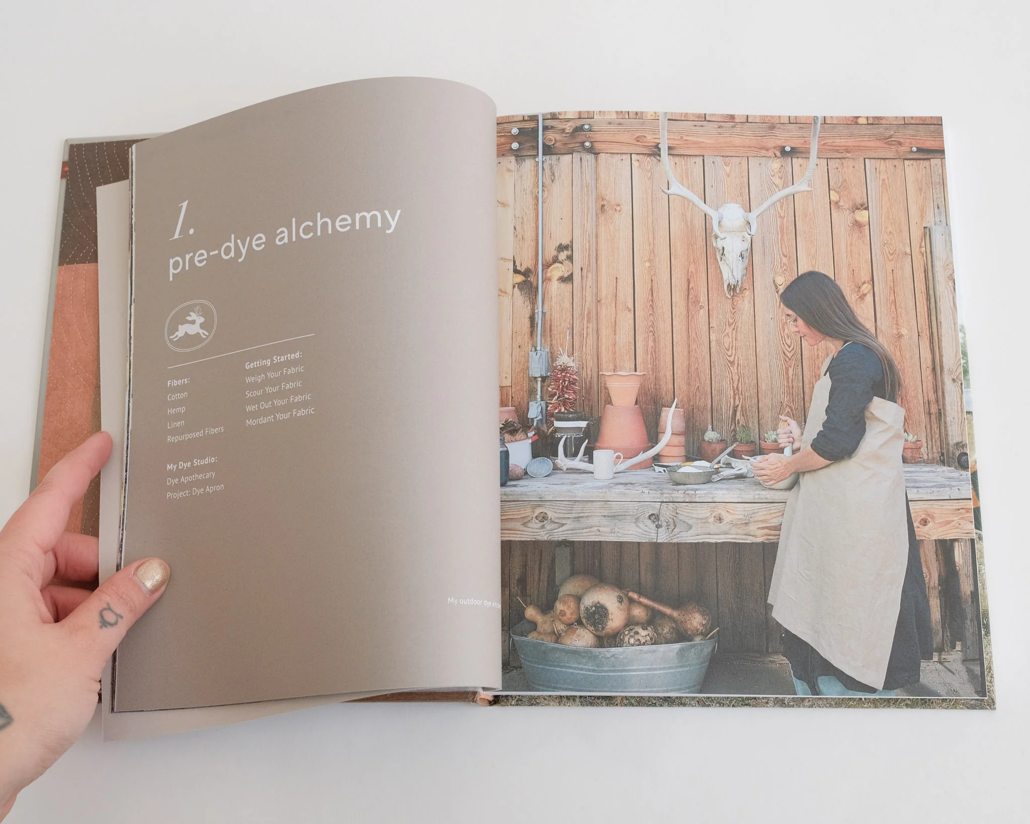 Farm & Folk Quilt Alchemy: A High-Country Guide to Natural Dyeing and Making Heirloom Quilts from Scratch - Image 3