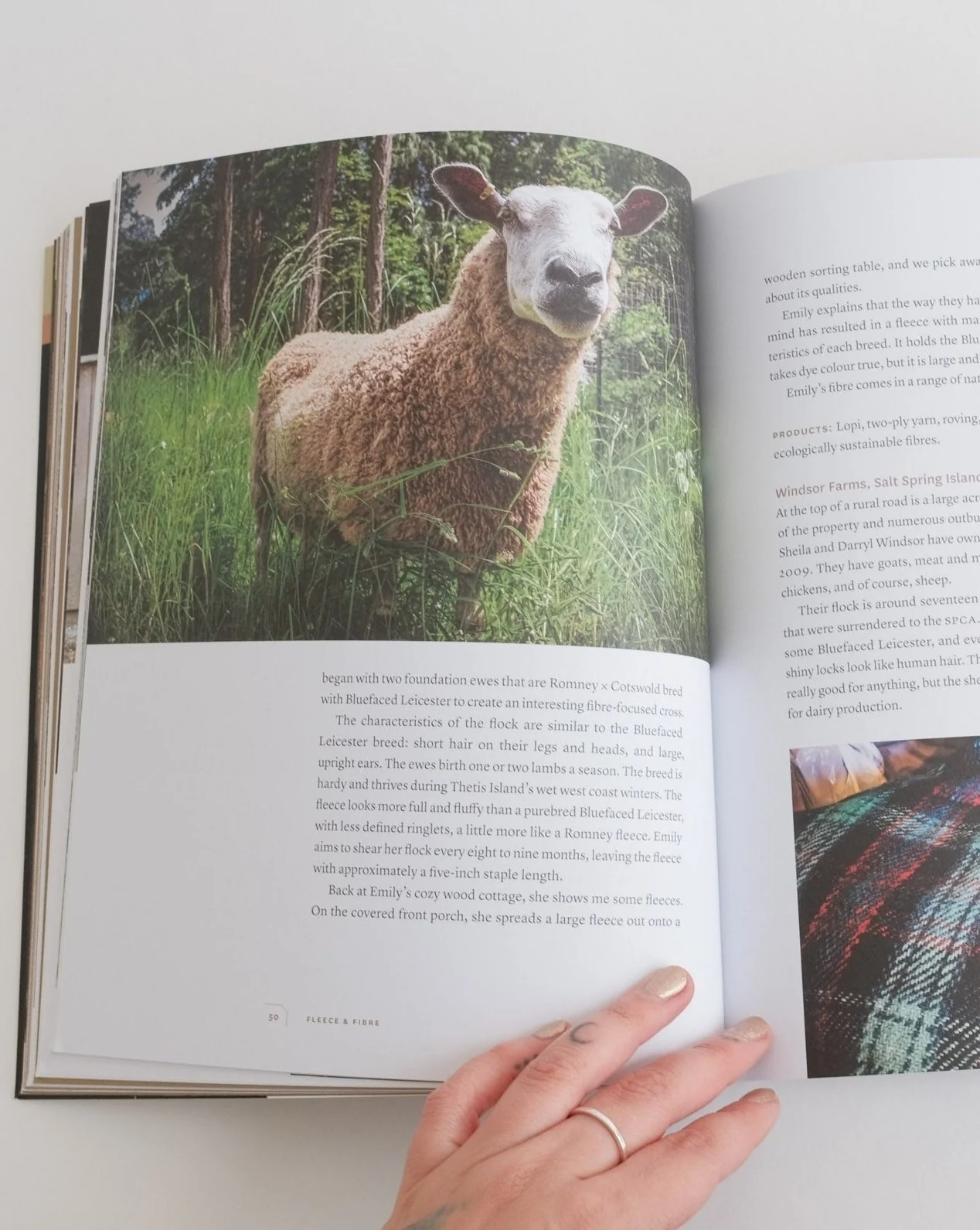 Fleece and Fibre: Textile Producers of Vancouver Island and the Gulf Islands - Image 2