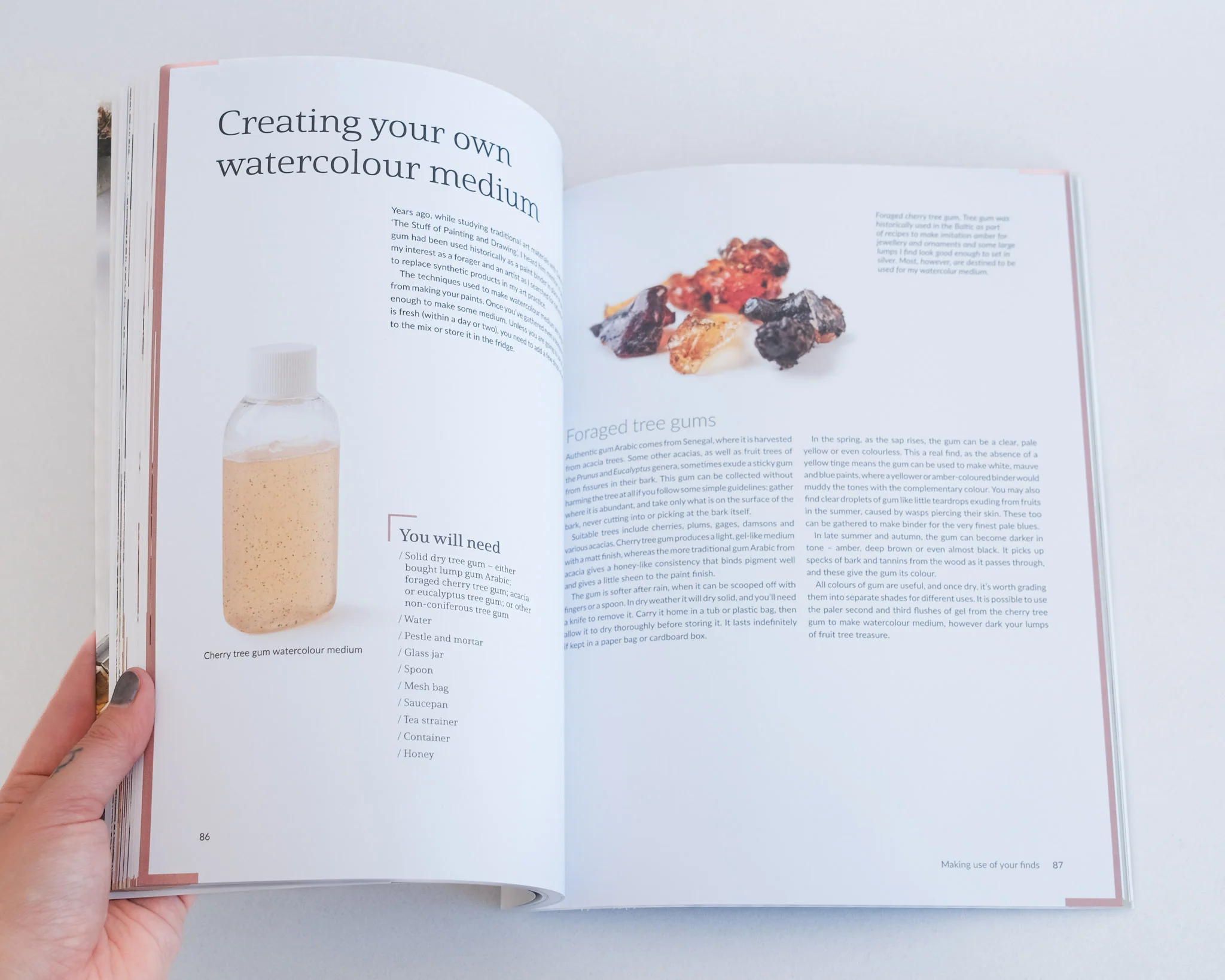 Found and Ground - A Practical Guide to Making Your Own Foraged Paints - Image 3