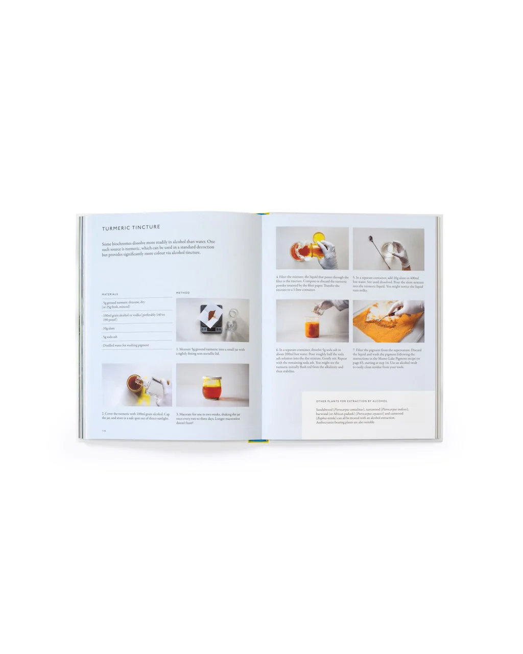 From Plant to Pigment: How to Make Paint, Pastels and Chalks from Plants - Image 10