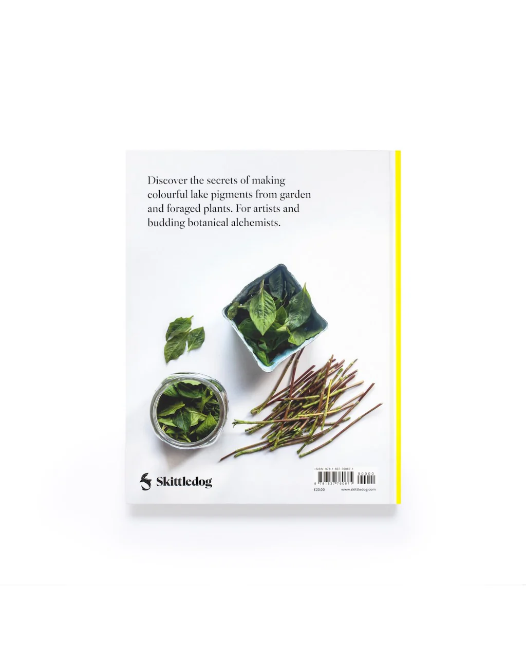 From Plant to Pigment: How to Make Paint, Pastels and Chalks from Plants - Image 11