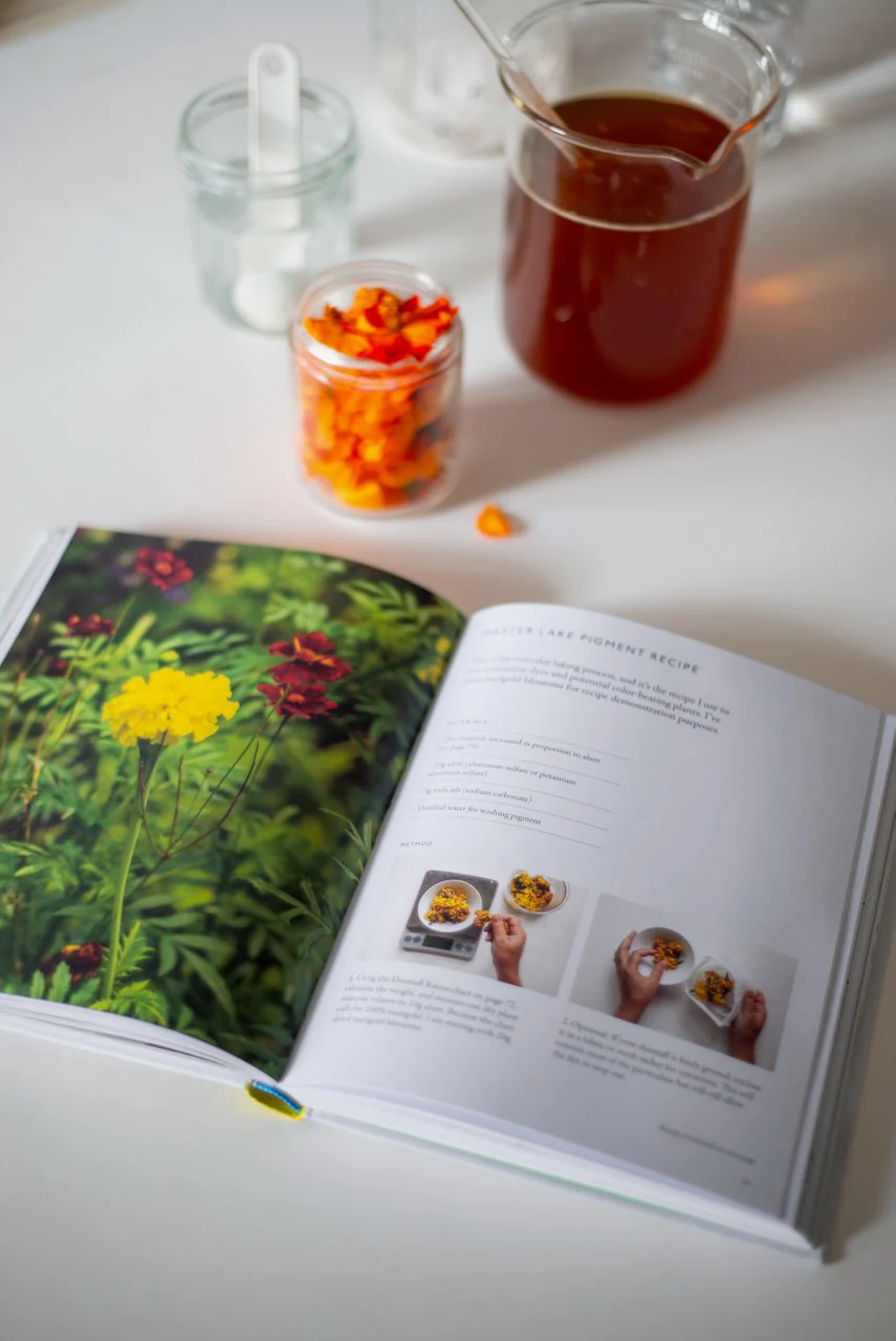 From Plant to Pigment: How to Make Paint, Pastels and Chalks from Plants - Image 14