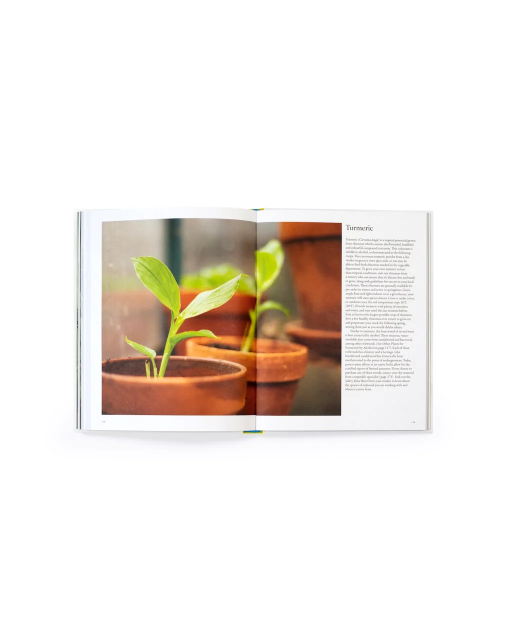 From Plant to Pigment: How to Make Paint, Pastels and Chalks from Plants - Image 9