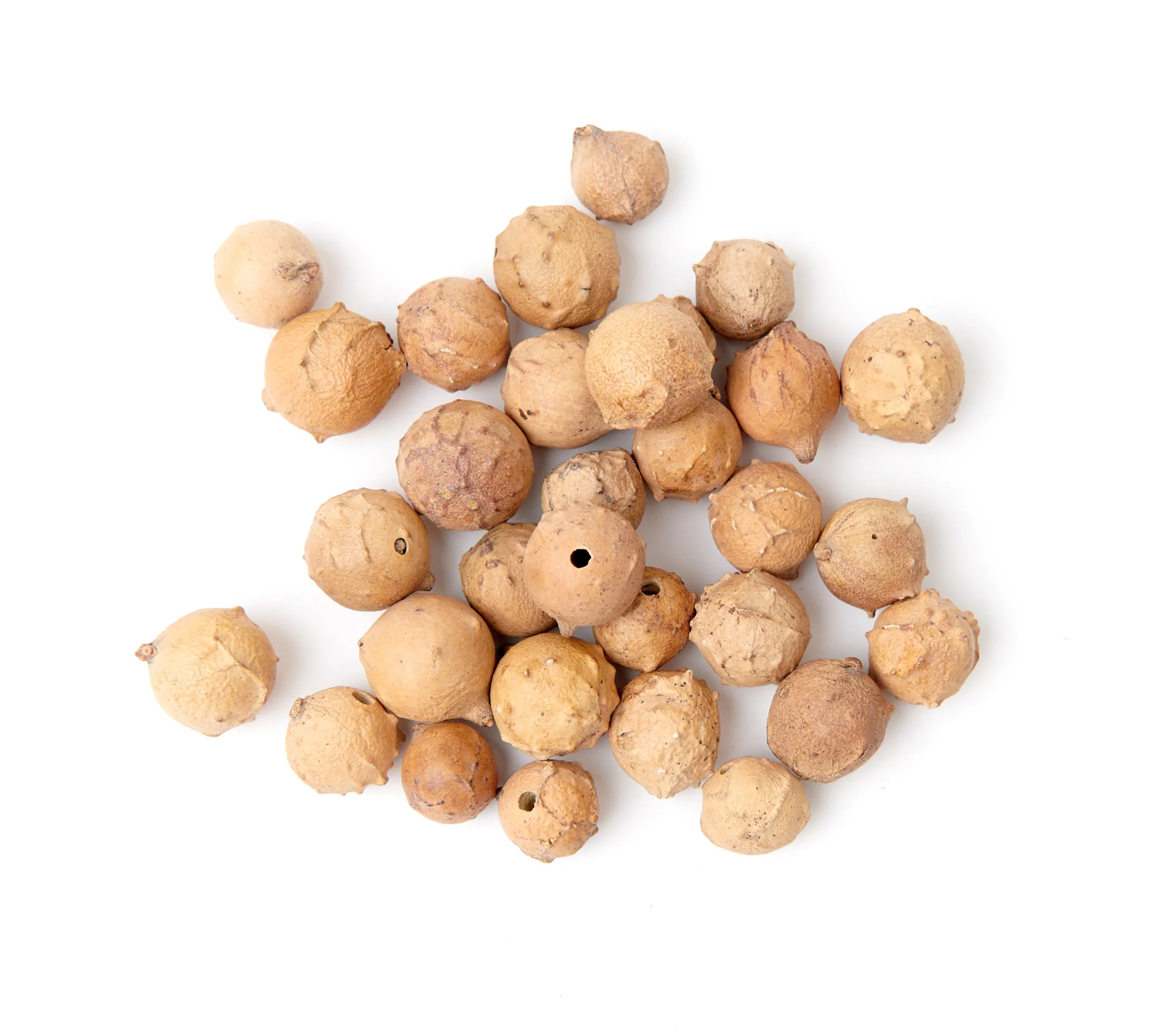 Gallnut Ground 500g (1.1 lb.) - Image 3