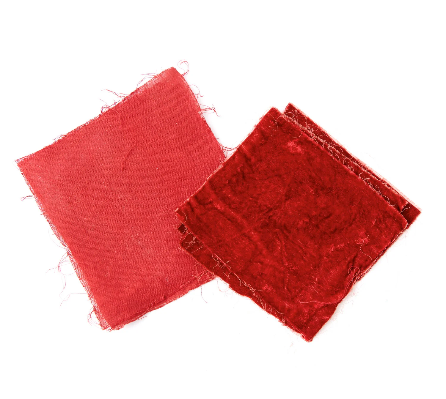 Madder - Rubia Tinctorum 100g (3.6 oz.) - Image 2