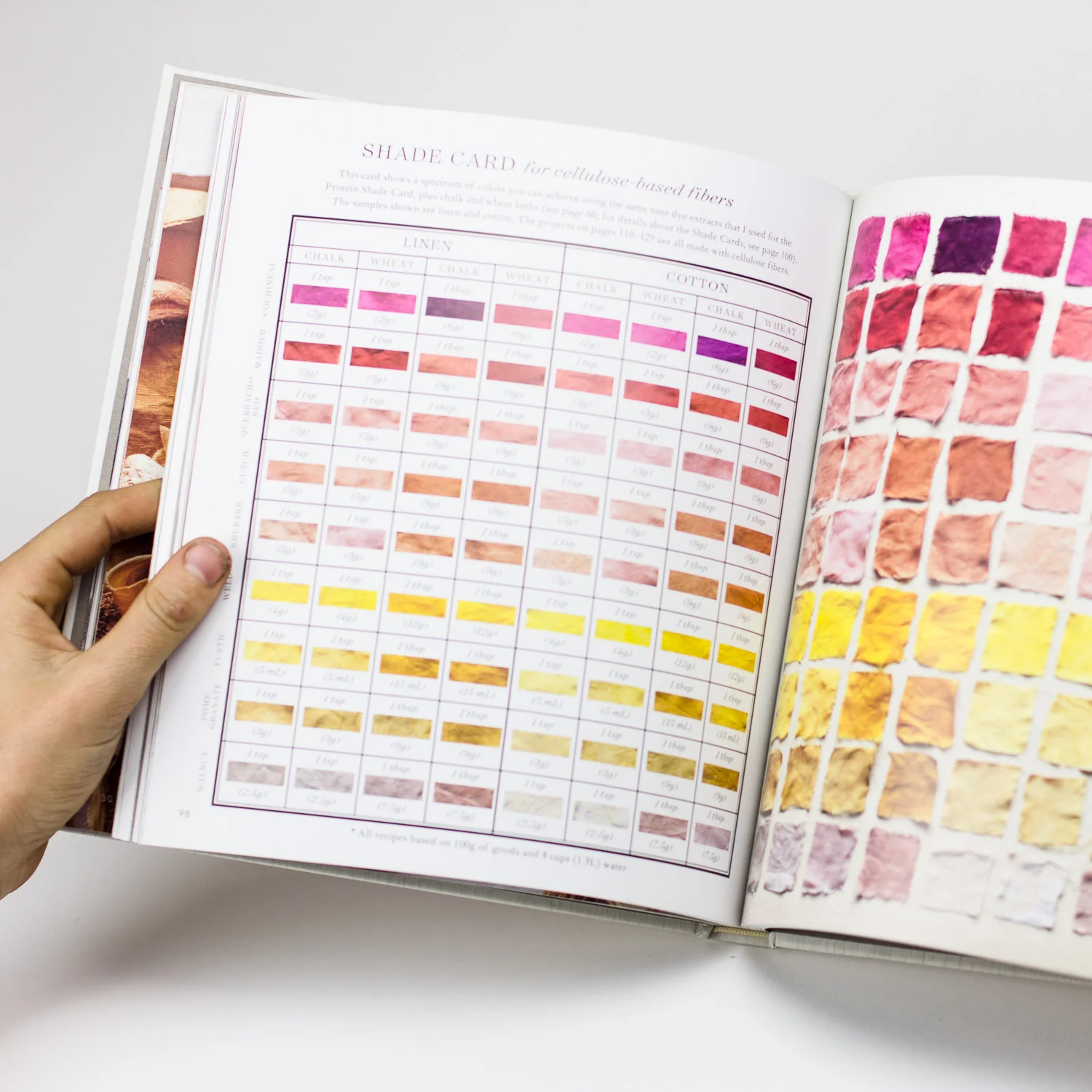 Modern Natural Dyer - Image 4