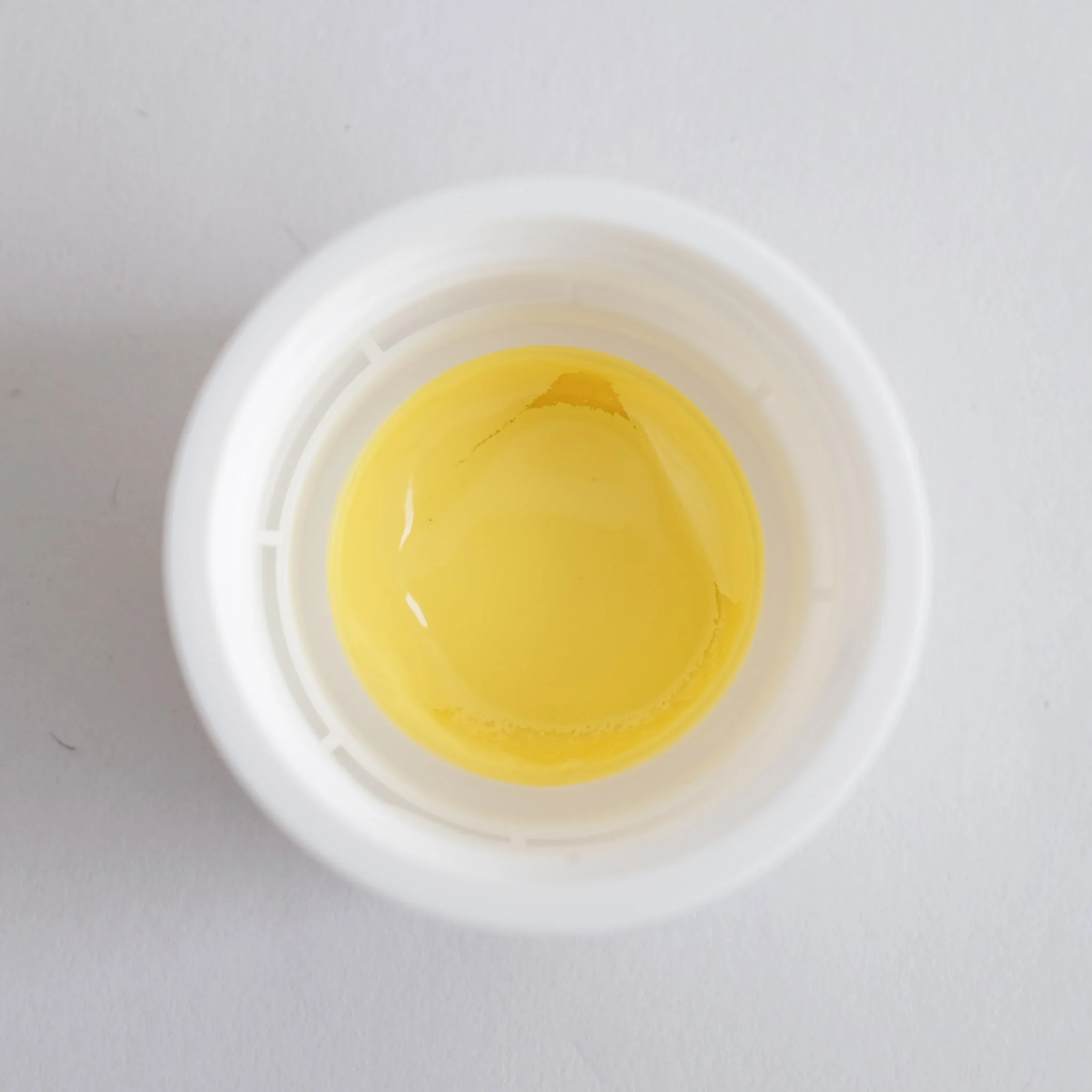 Setacolor Opaque 250 ml Lemon Yellow 17 - Image 3