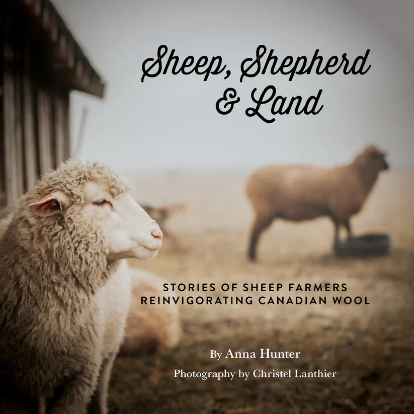Sheep, Shepard & Land by Anna Hunter