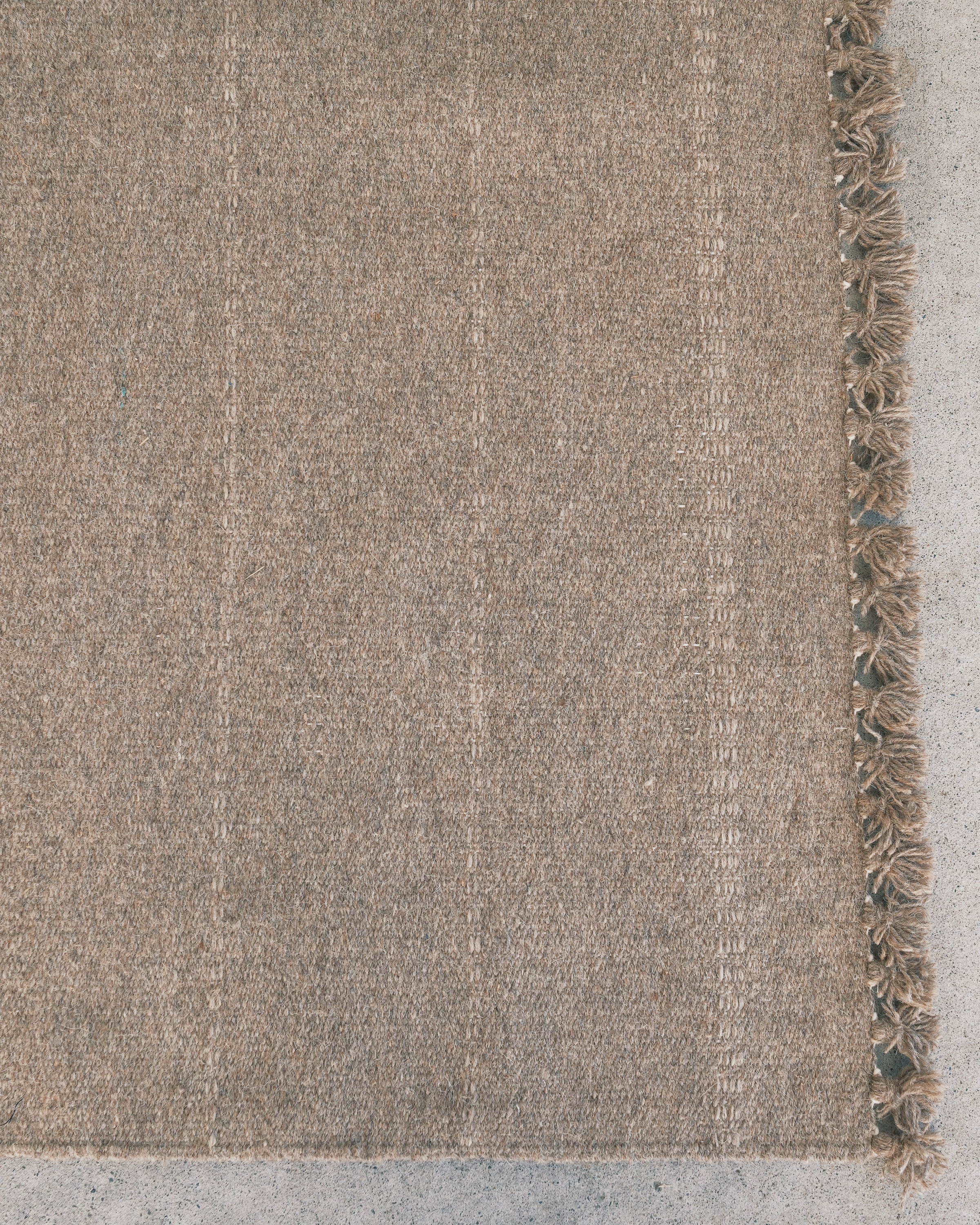 Wool Jawaja Carpet - Large - Journey - Image 5