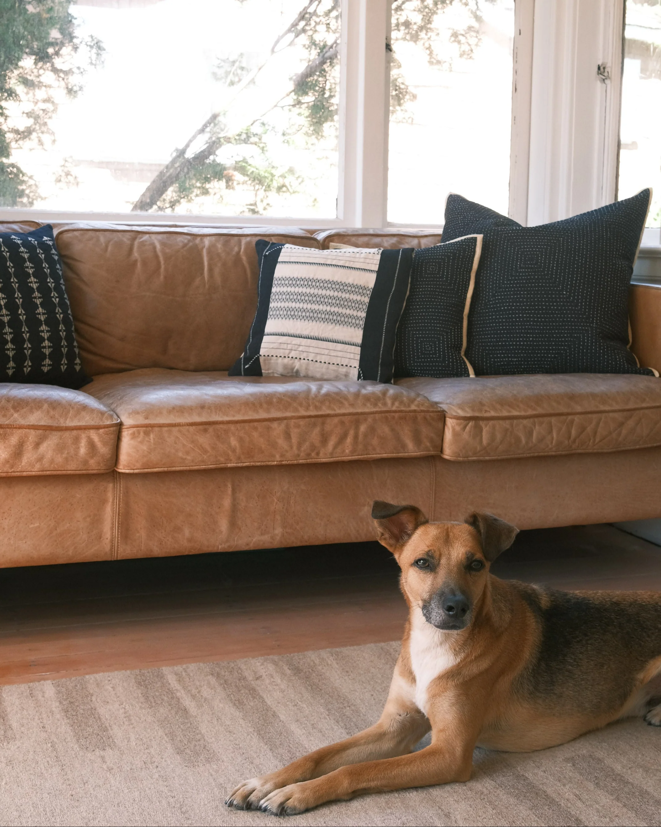 Wool Jawaja Carpet - Large - Shifting Sand